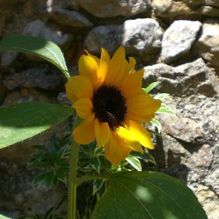 Bed and Breakfast Le Colombage